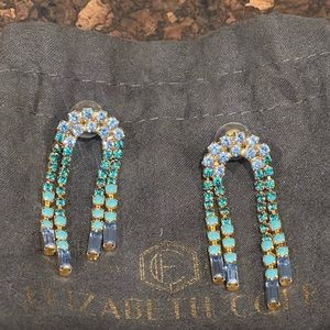 NWOT Elizabeth Cole Asa Earrings
